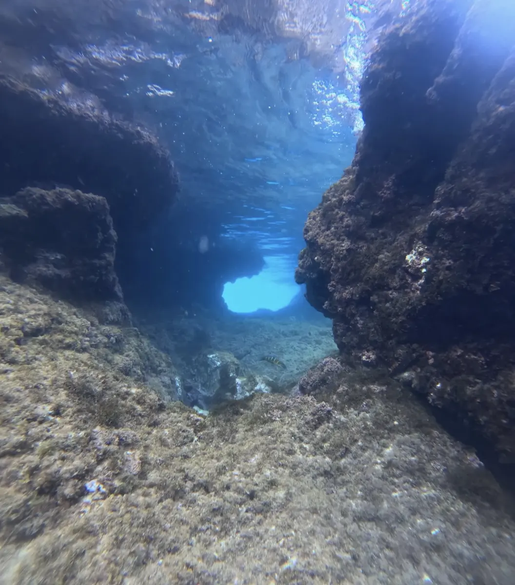 Cave dive placeholder
