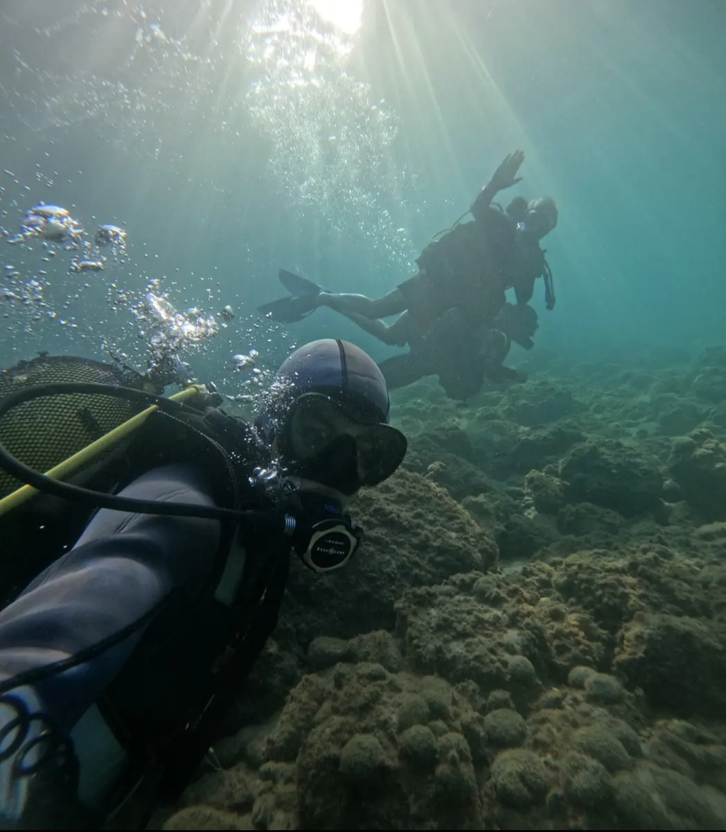 Divers over reef placeholder