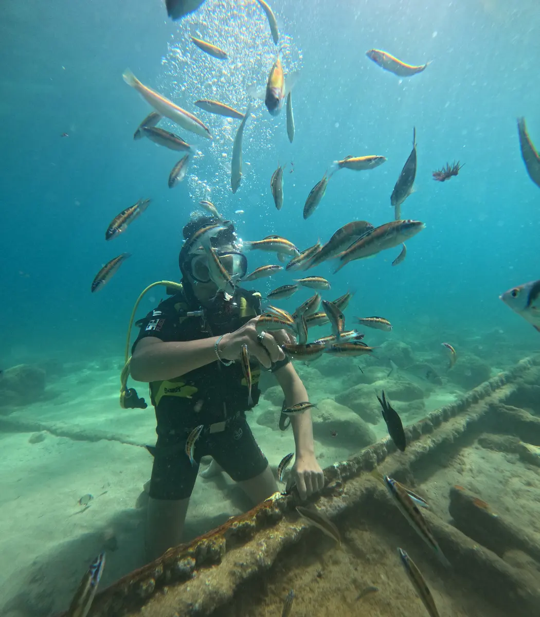 Diver with fish placeholder